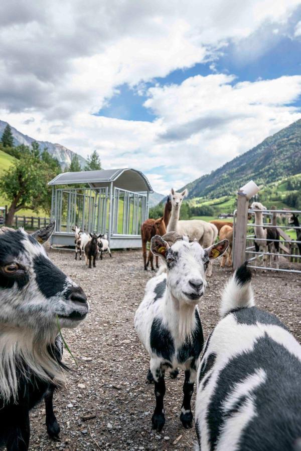 Ruggenthalerhof Apartamento Matrei in Osttirol Exterior foto